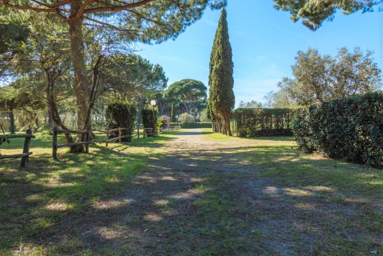 Residence La Canova II Marina di Grosseto Exteriör bild