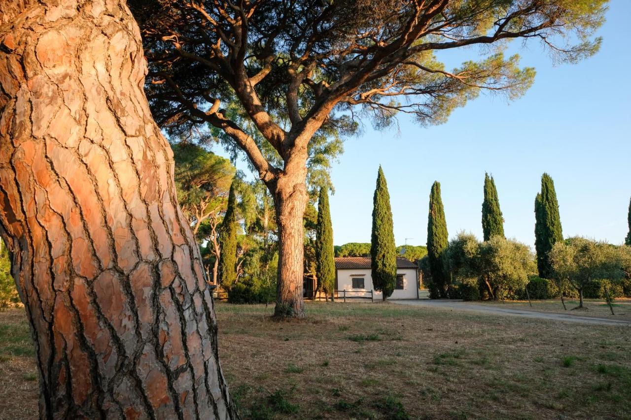Residence La Canova II Marina di Grosseto Exteriör bild