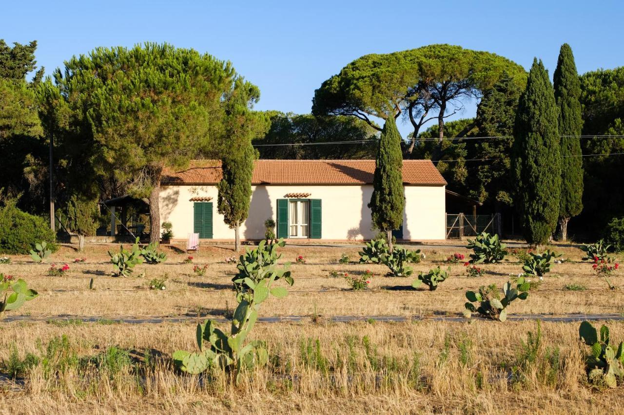 Residence La Canova II Marina di Grosseto Exteriör bild