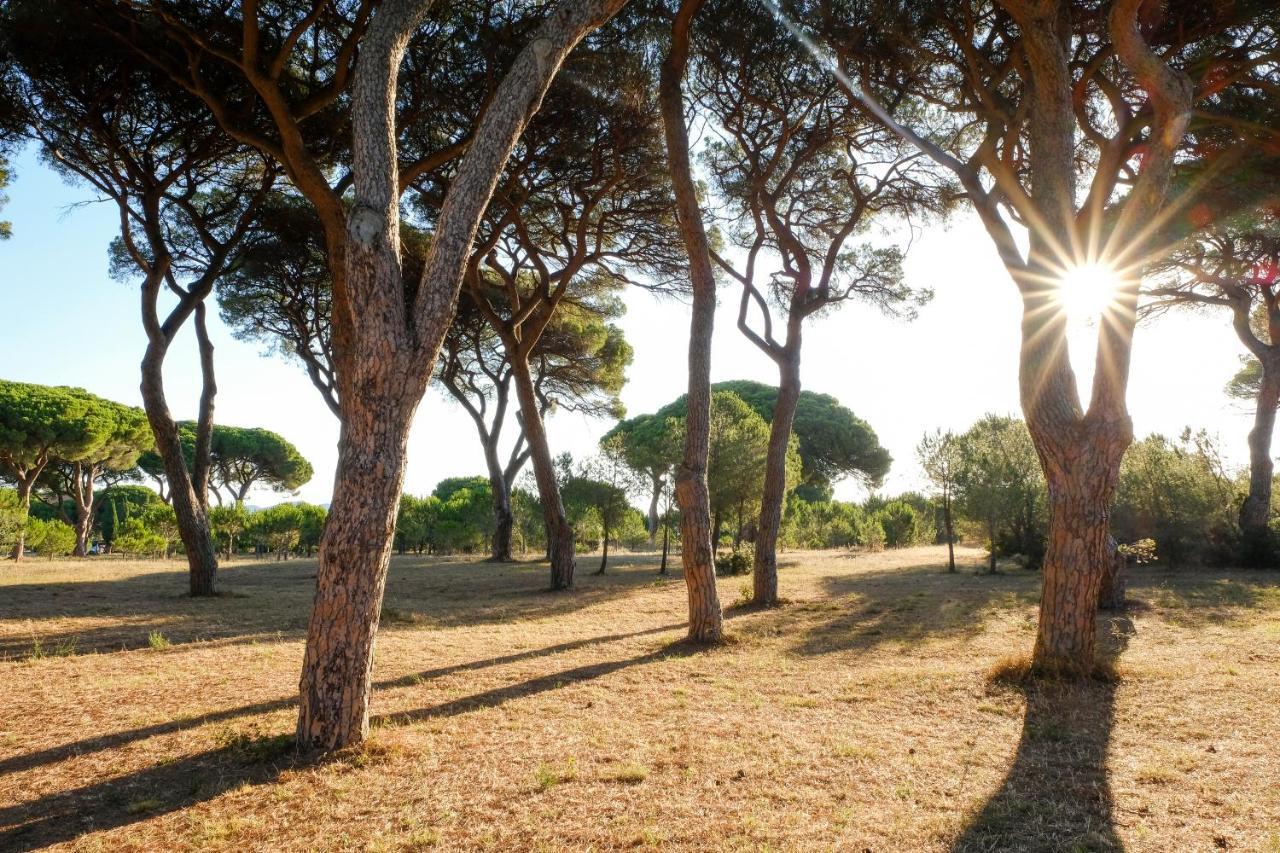Residence La Canova II Marina di Grosseto Exteriör bild