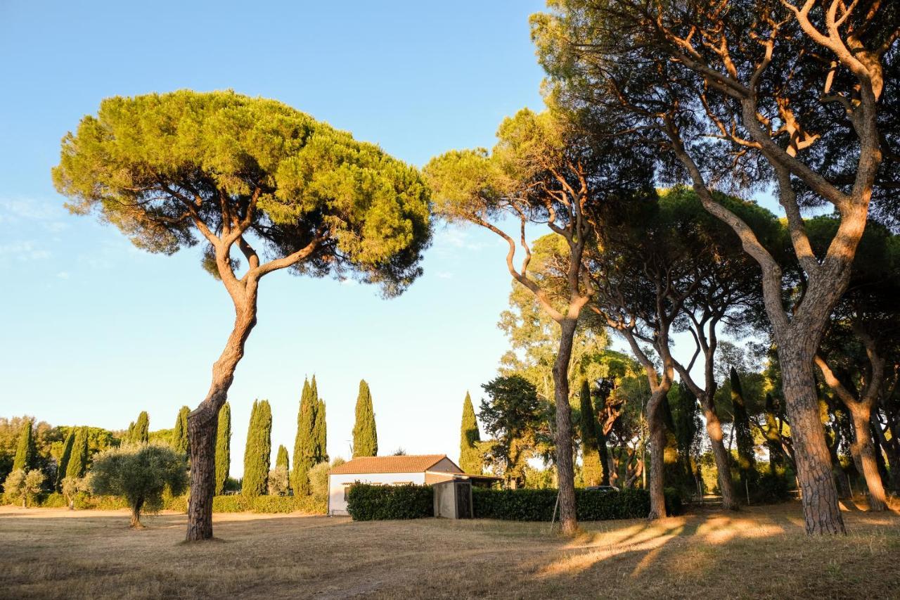 Residence La Canova II Marina di Grosseto Exteriör bild