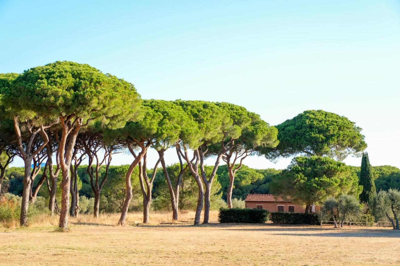 Residence La Canova II Marina di Grosseto Exteriör bild