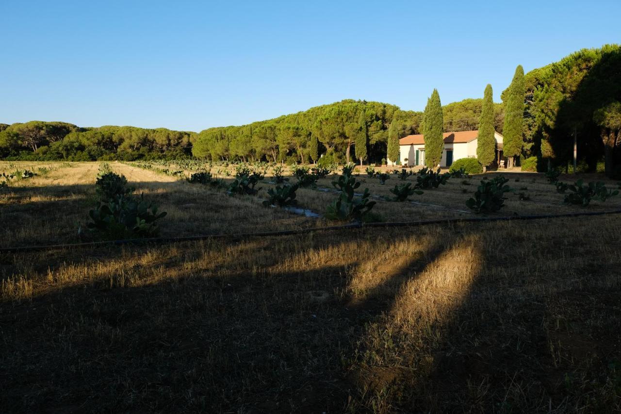 Residence La Canova II Marina di Grosseto Exteriör bild