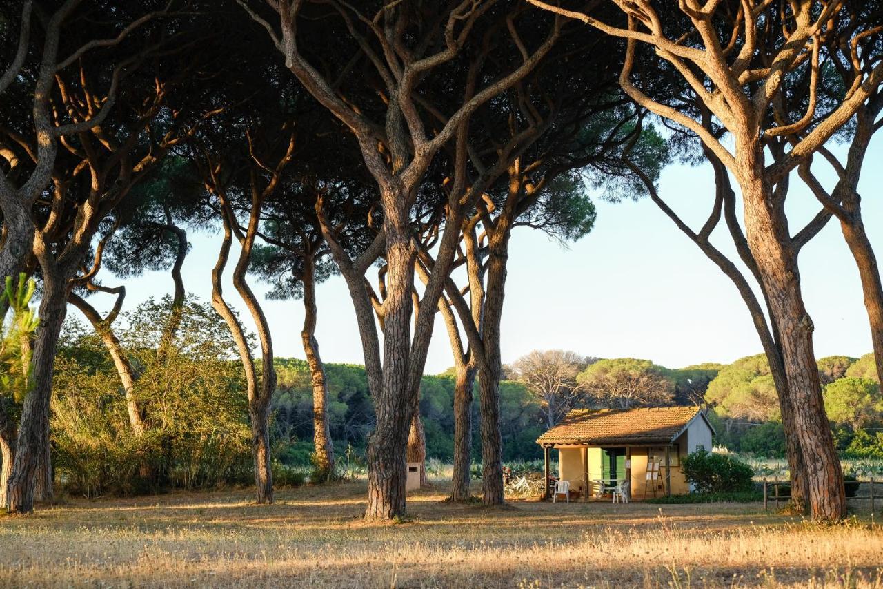Residence La Canova II Marina di Grosseto Exteriör bild
