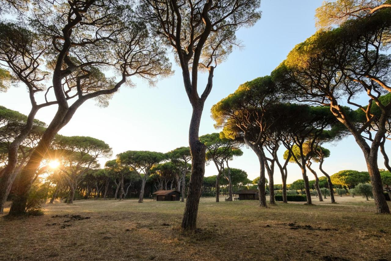 Residence La Canova II Marina di Grosseto Exteriör bild
