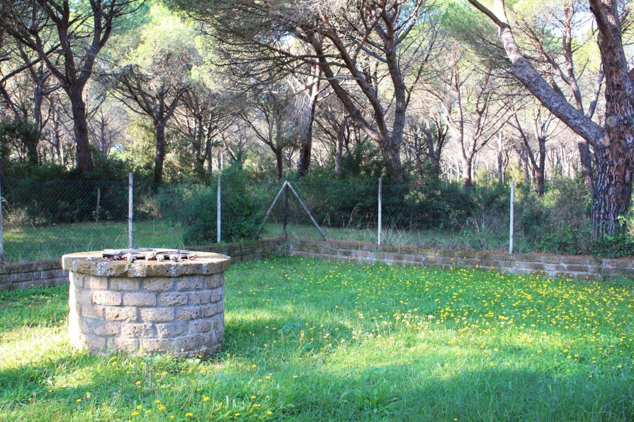Residence La Canova II Marina di Grosseto Exteriör bild
