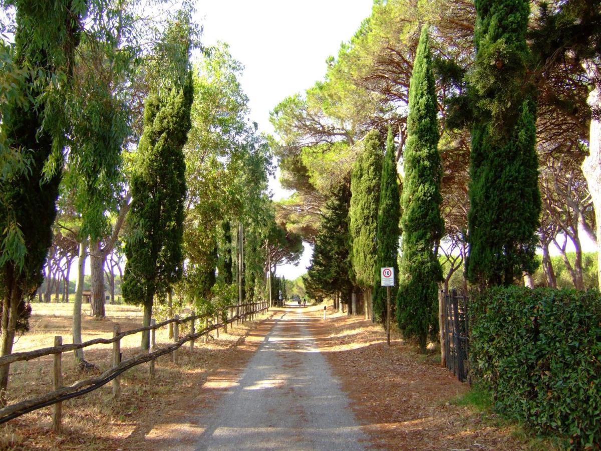 Residence La Canova II Marina di Grosseto Exteriör bild