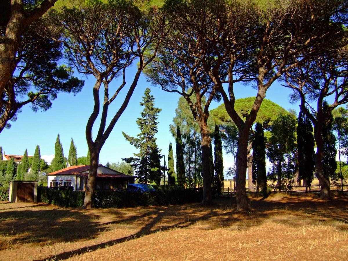Residence La Canova II Marina di Grosseto Exteriör bild